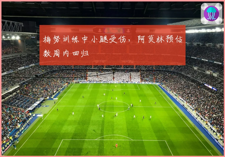 梅努训练中小腿受伤，阿莫林预估数周内回归