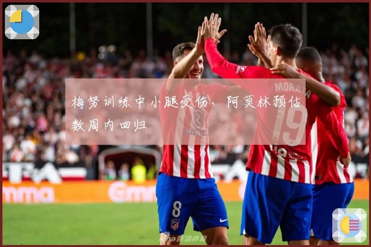 梅努训练中小腿受伤，阿莫林预估数周内回归